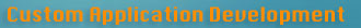 Custom Application Development